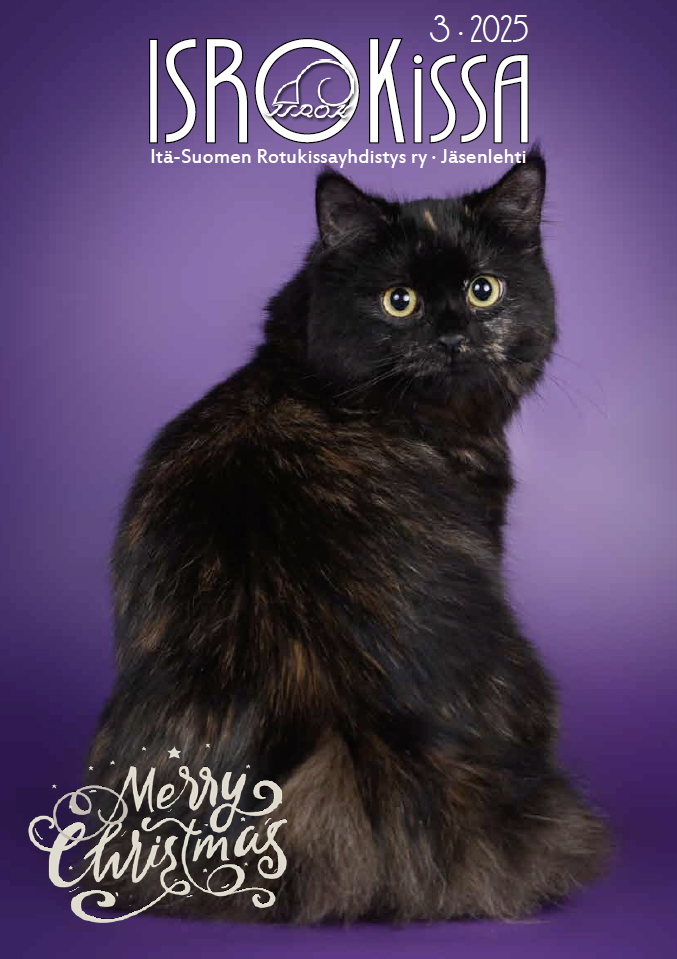 IsroKissa 3/2025